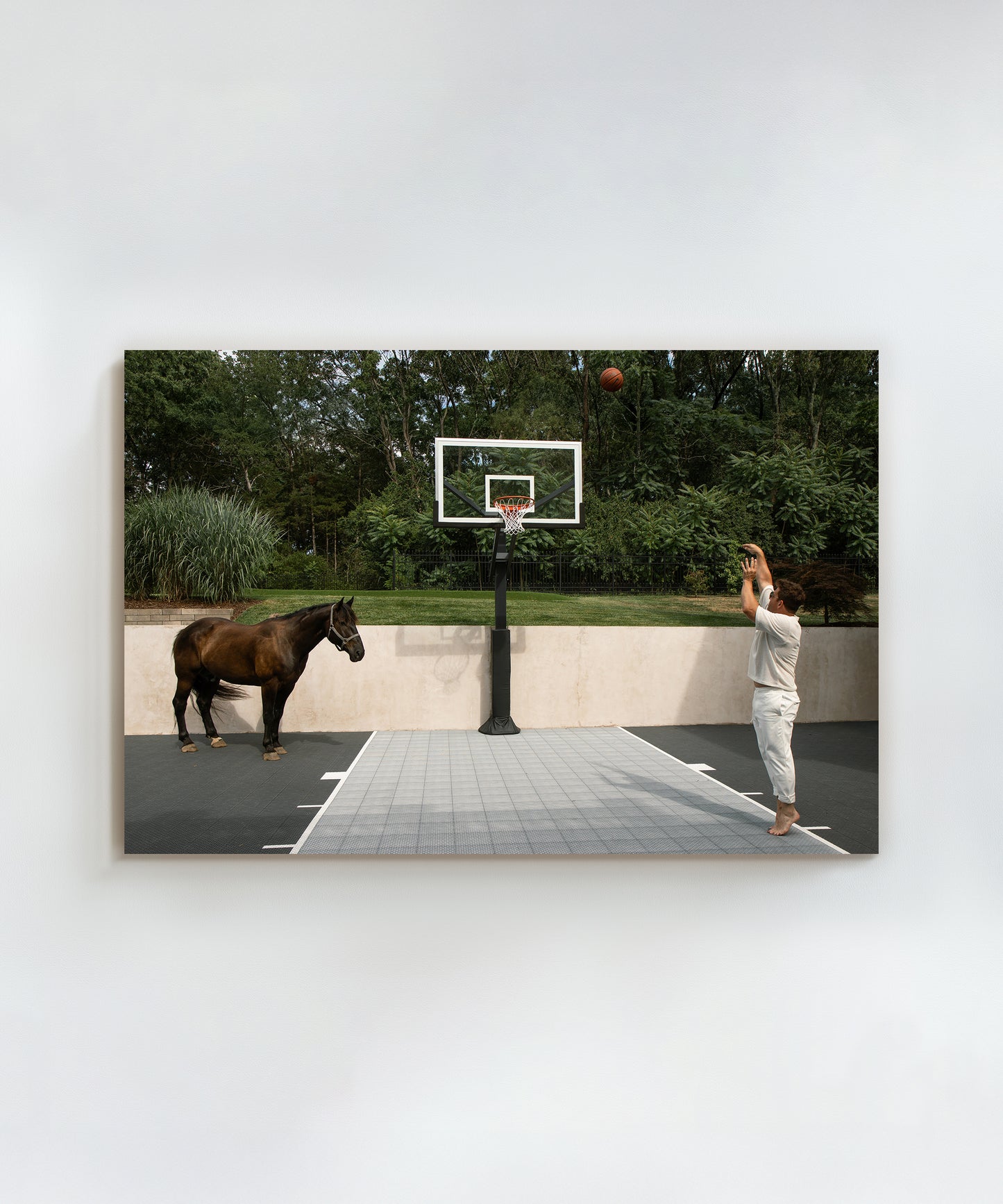 Playing Horse by Hannah Ladd