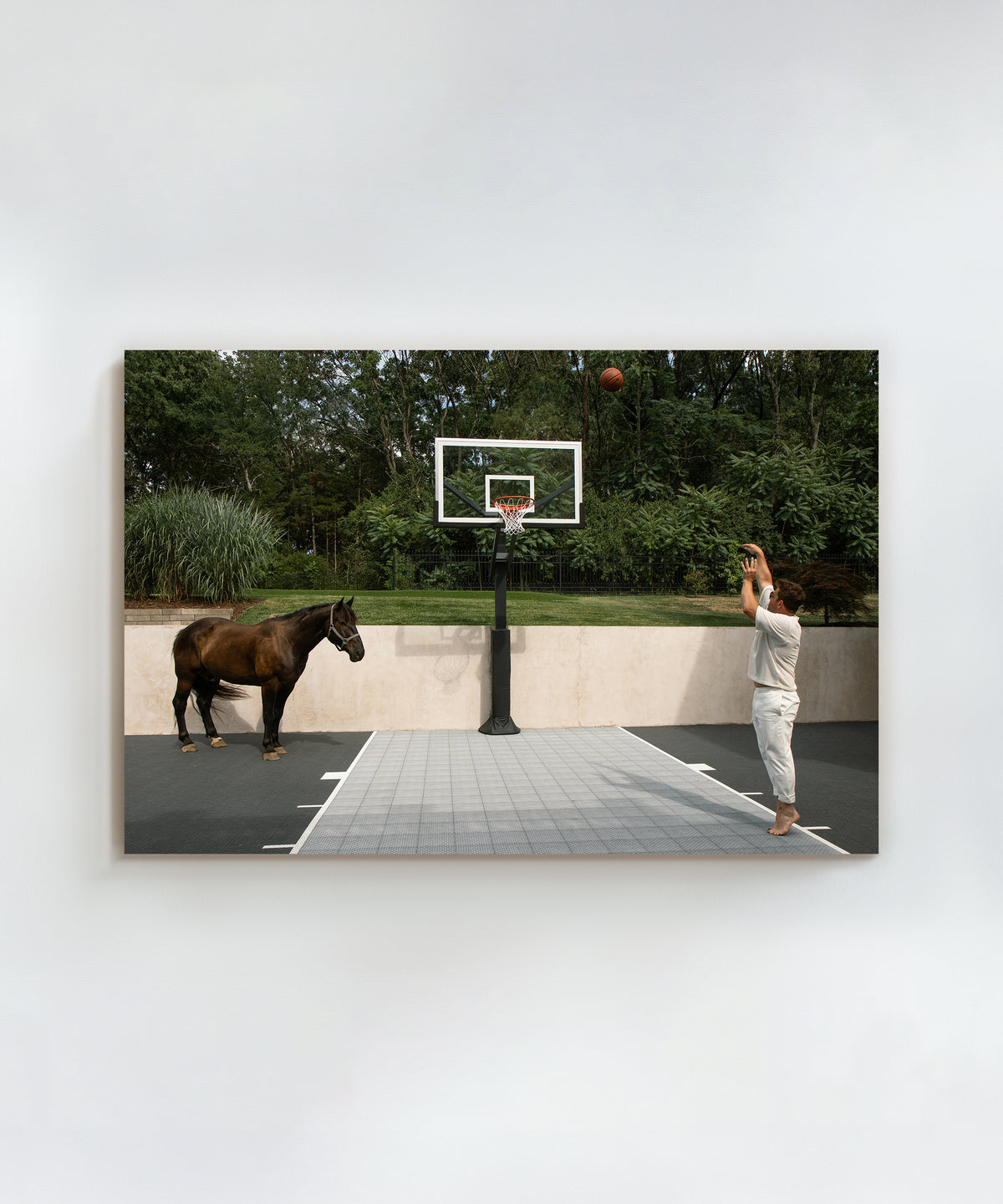 Playing Horse by Hannah Ladd