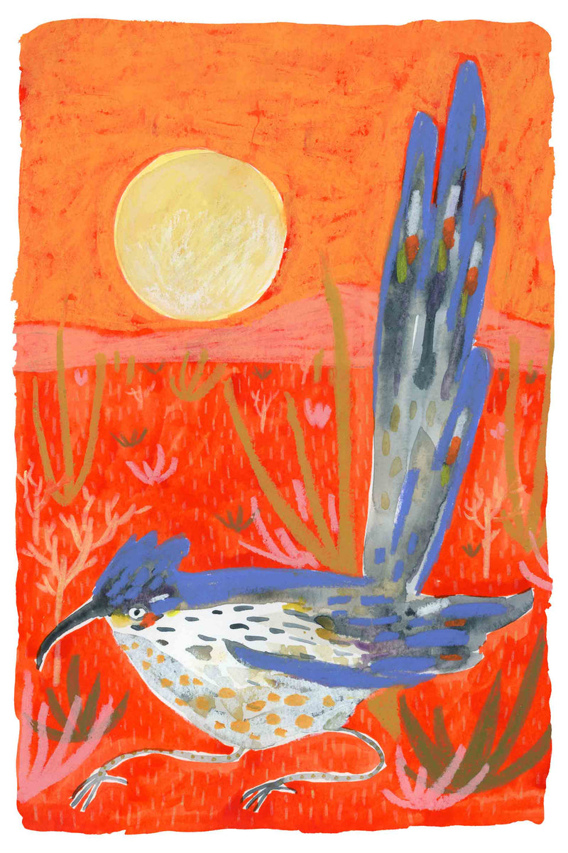 Resting Roadrunner by Melissa Lakey