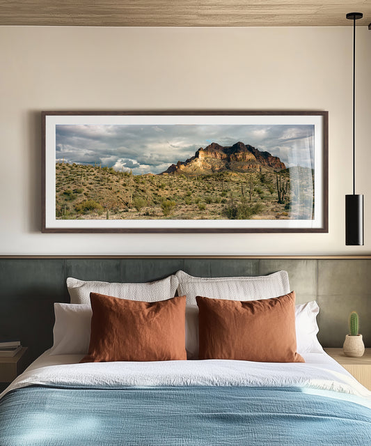 Saguaro Mountain by Cam Mackey