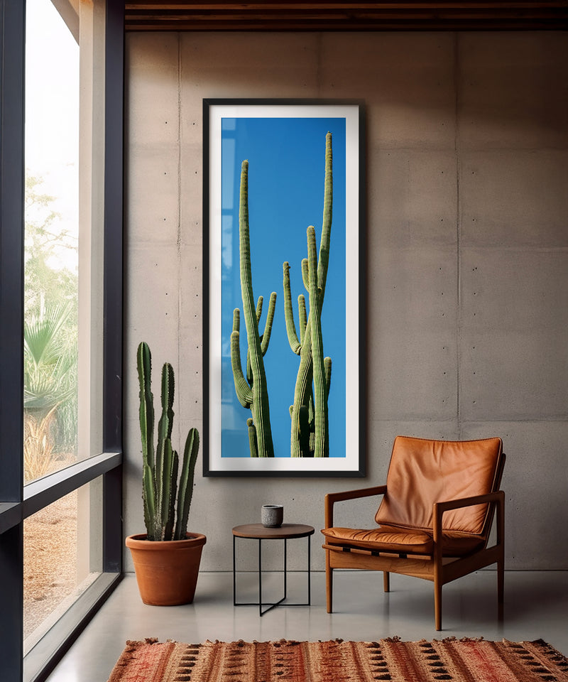 Towering Saguaro #4 by Alex Noble