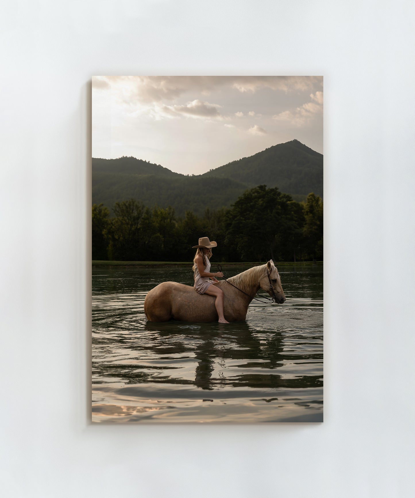 Seahorse by Hannah Ladd