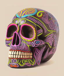 Southwestern Skulls #1 of 5 by Head West Studio