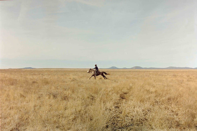 Ranch Days #7 by Taylor Hoover