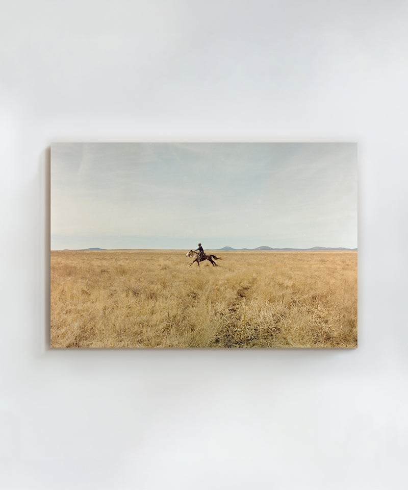 Ranch Days #7 by Taylor Hoover