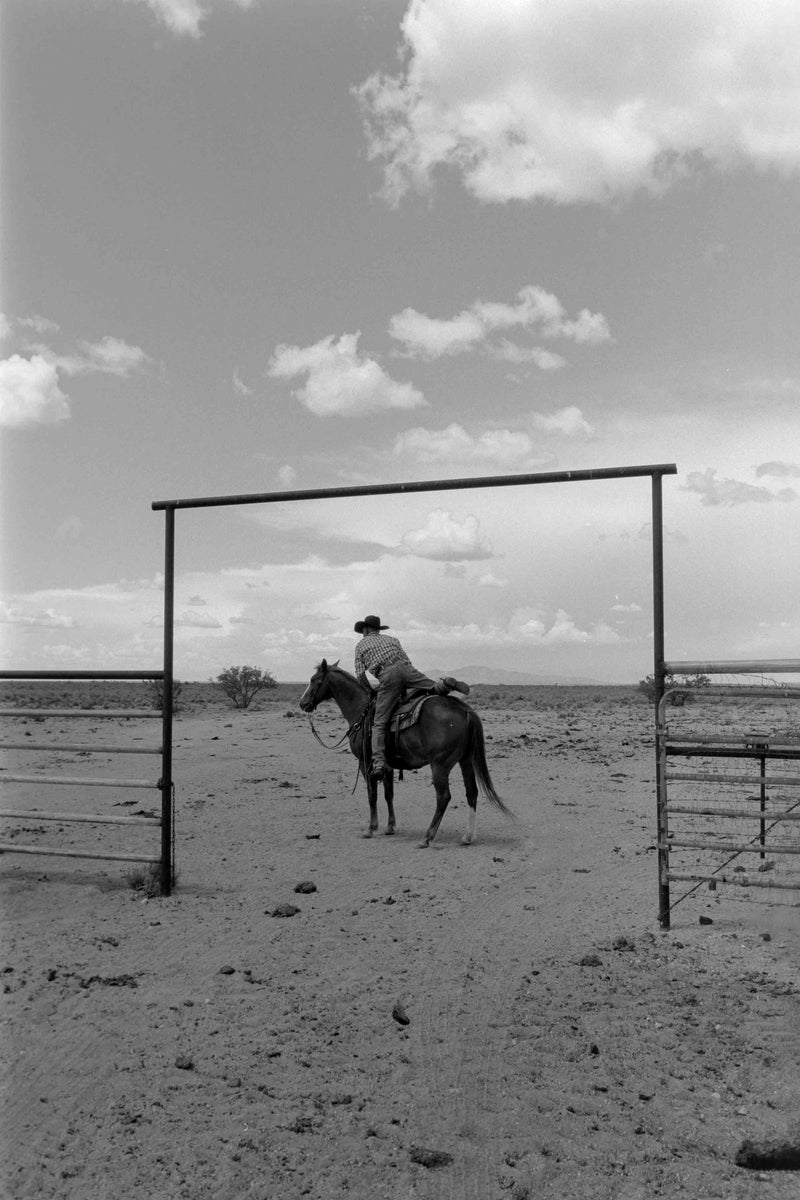 Ranch Days #8 by Taylor Hoover