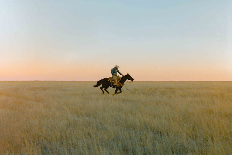 Ranch Days #1 by Taylor Hoover