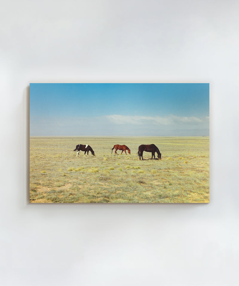 Ranch Days #2 by Taylor Hoover