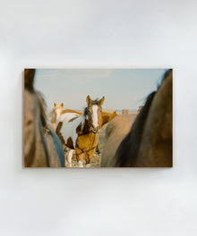 Ranch Days #3 by Taylor Hoover