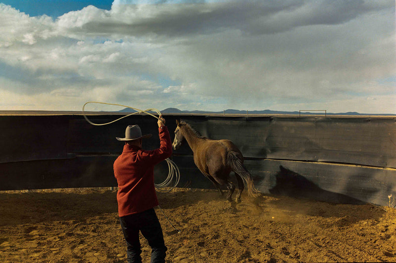 Ranch Days #4 by Taylor Hoover