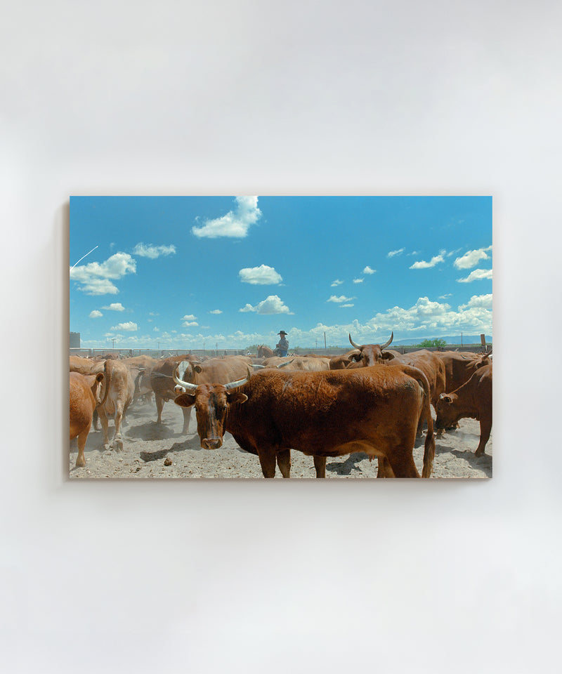 Ranch Days #5 by Taylor Hoover