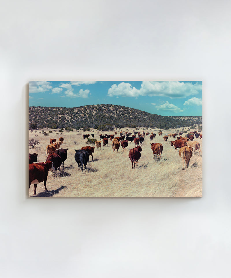 Ranch Days #6 by Taylor Hoover