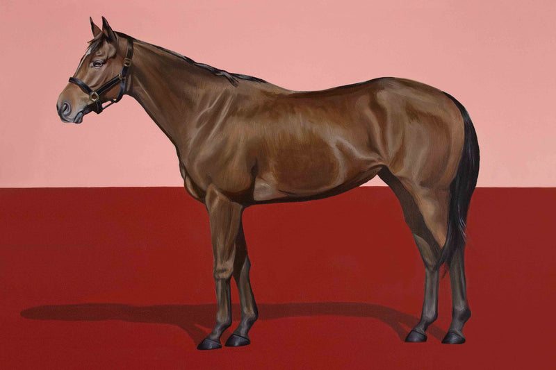 Color Field Horse #2 by Tanner Muse