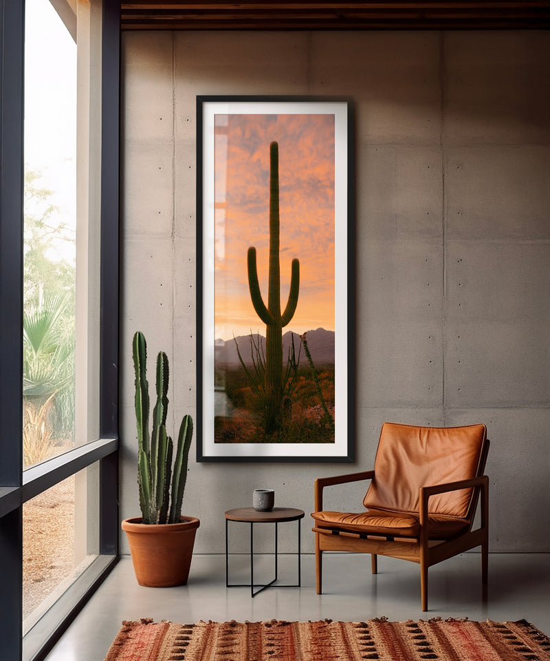 Towering Saguaro #2 by Alex Noble