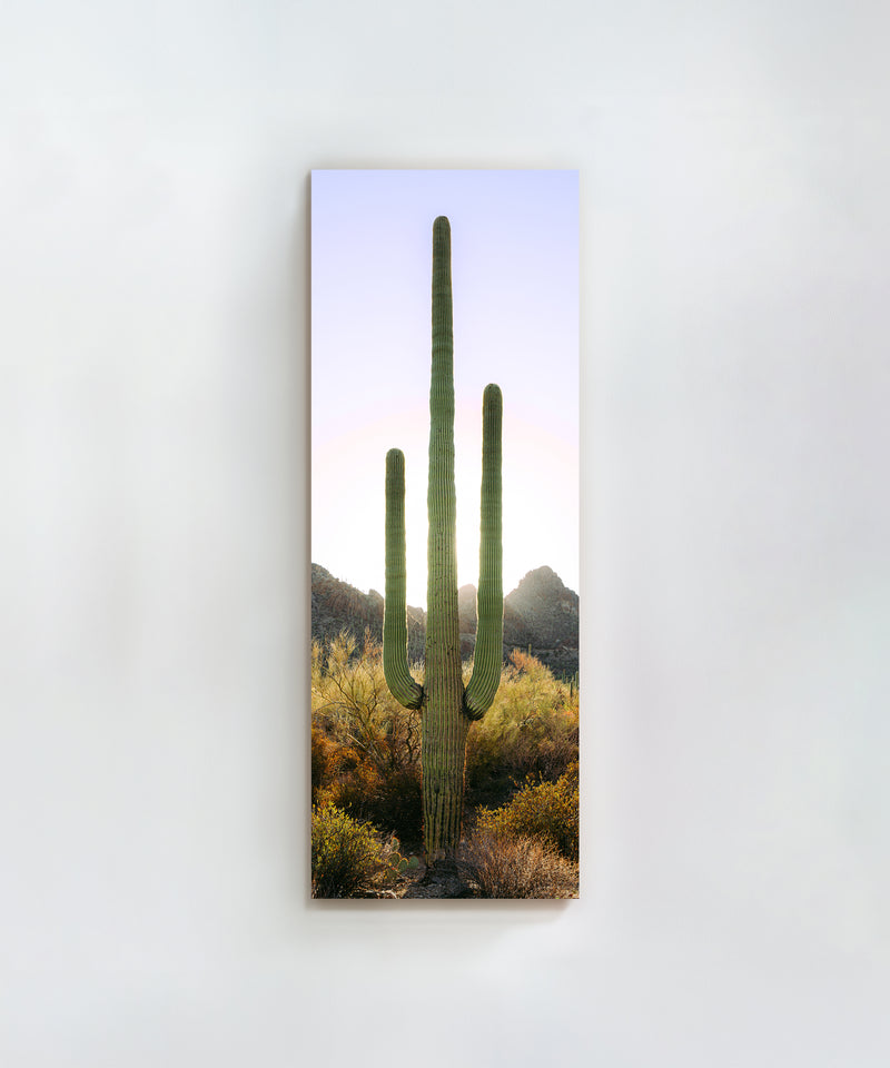Towering Saguaro #3 by Alex Noble