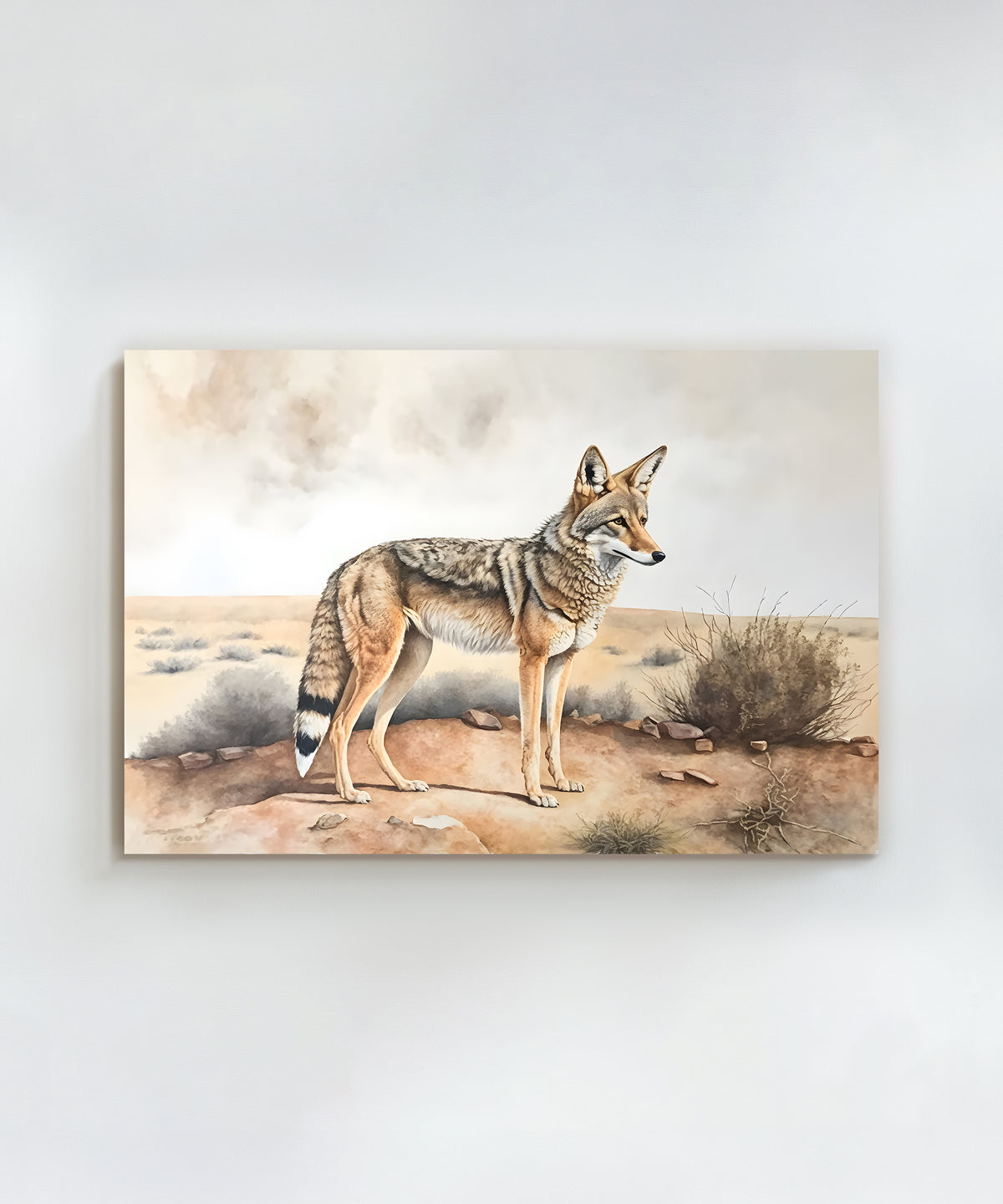 Classic Watercolors #3 - Coyote by Head West Studio