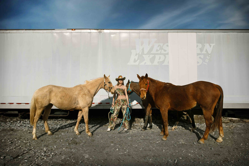 Western Express by Hannah Ladd