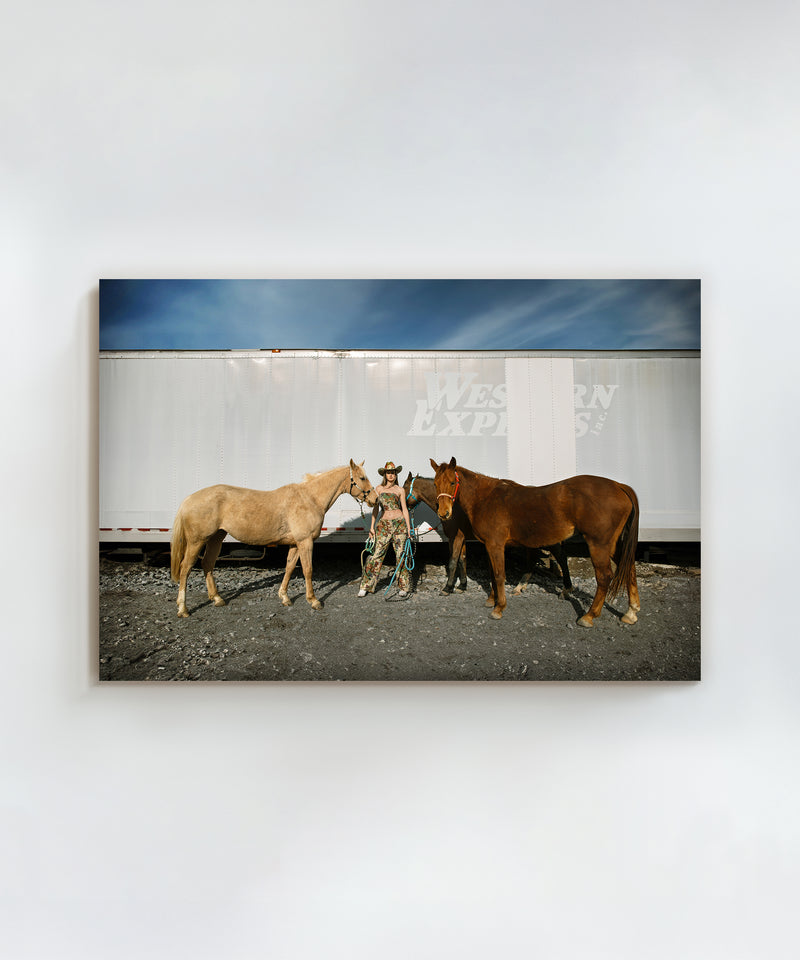 Western Express by Hannah Ladd