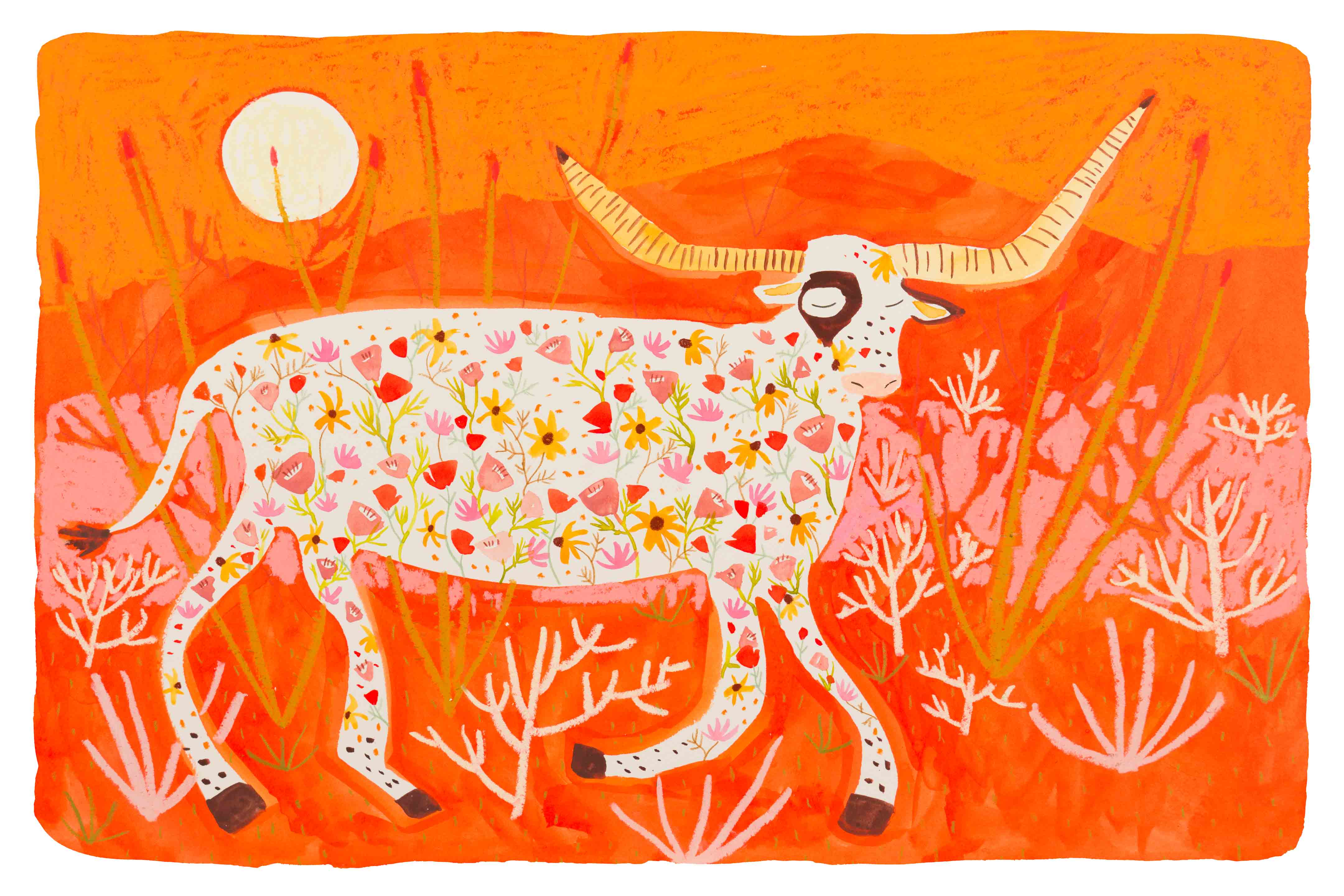 Wildflower Longhorn by Melissa Lakey – HeadWestStudio