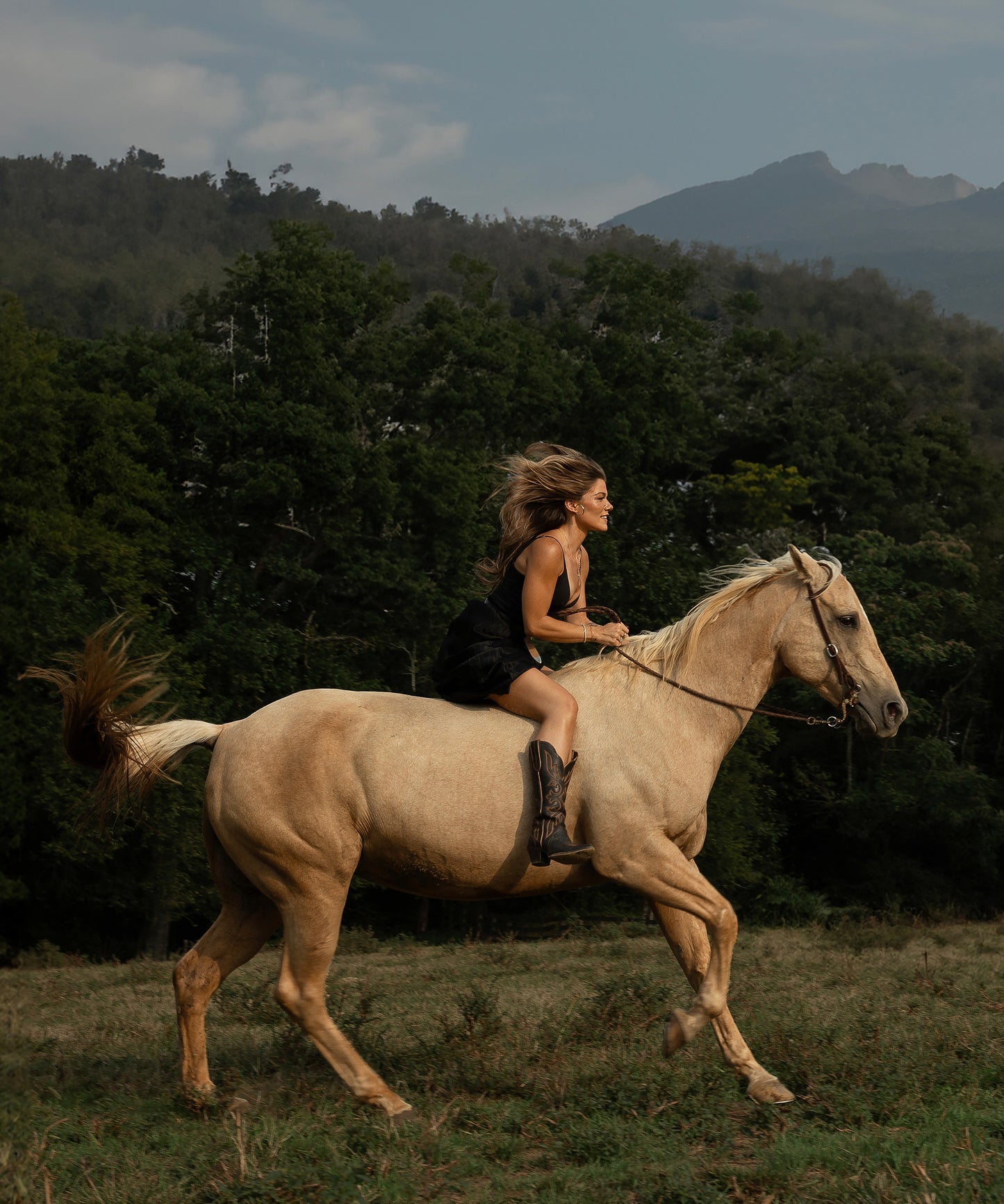 Wild and Free by Hannah Ladd