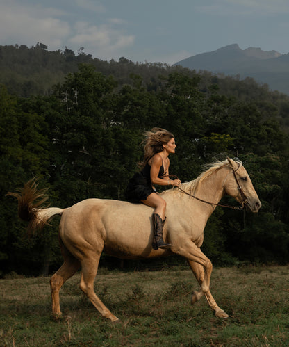 Wild and Free by Hannah Ladd