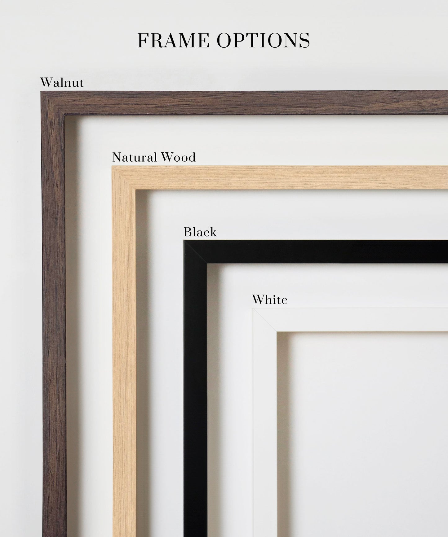 Snow Bird by Melissa Lakey