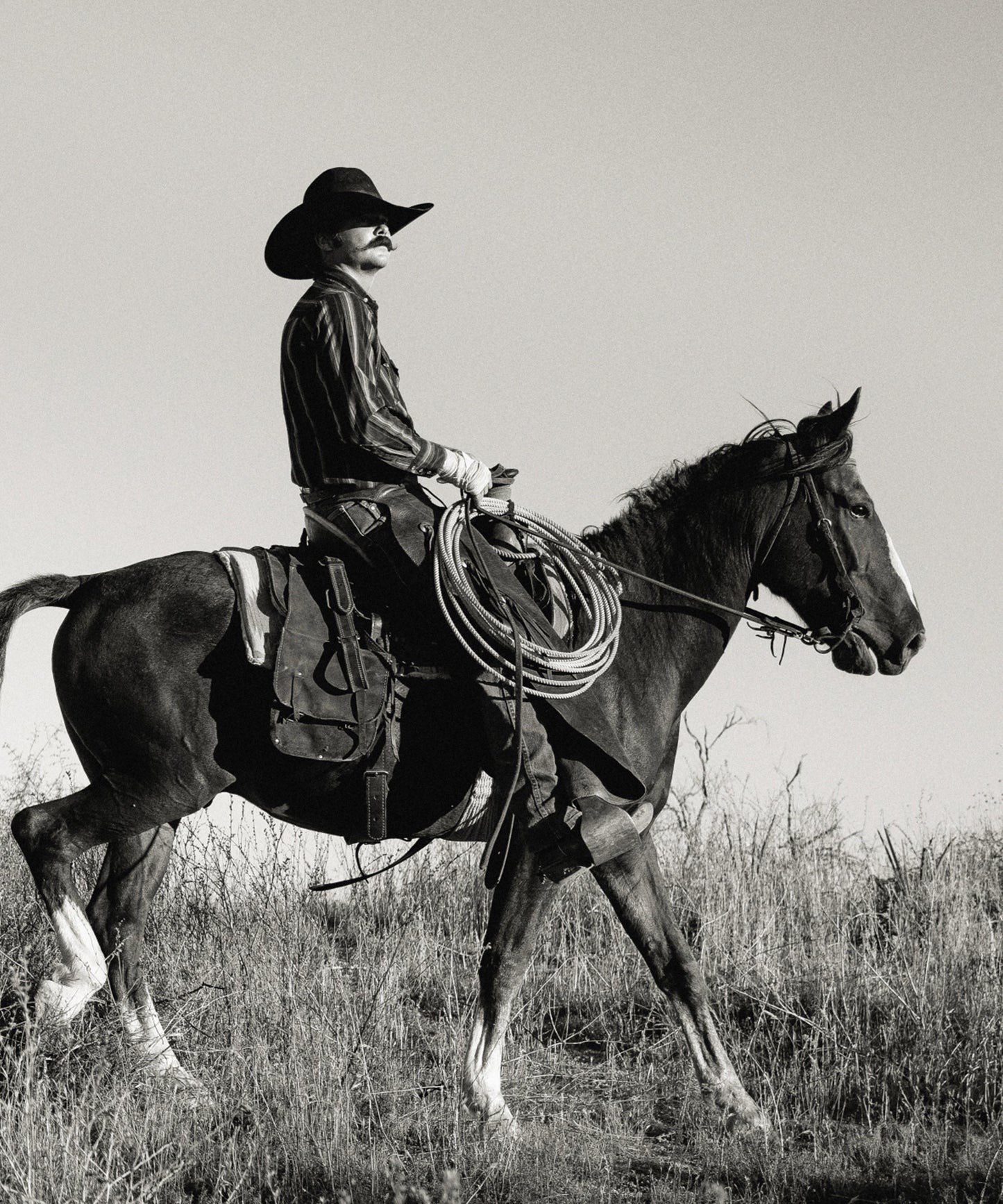 The Cowboy Collection #5/20 by Ben Christensen