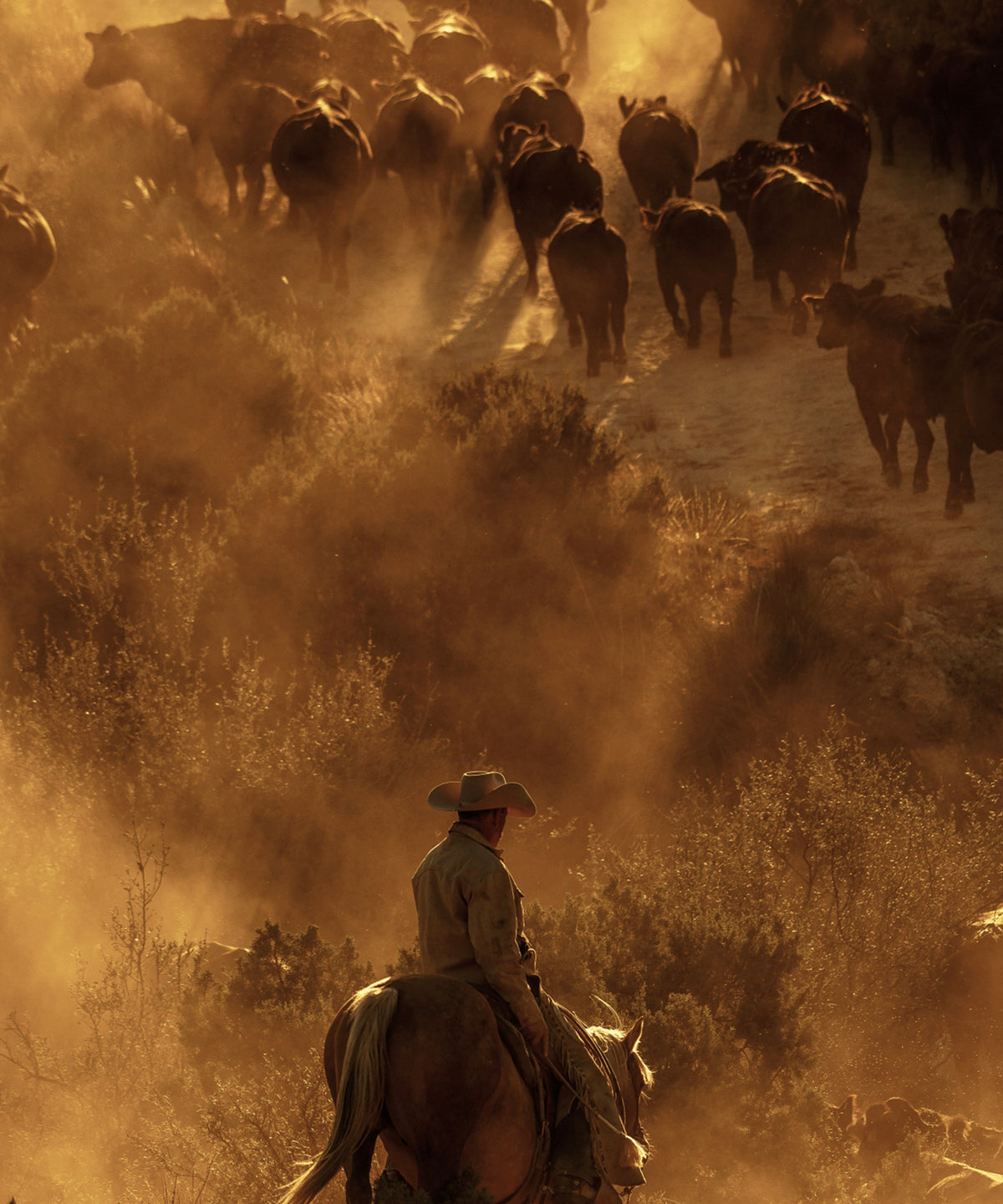 The Cowboy Collection #12 by Ben Christensen