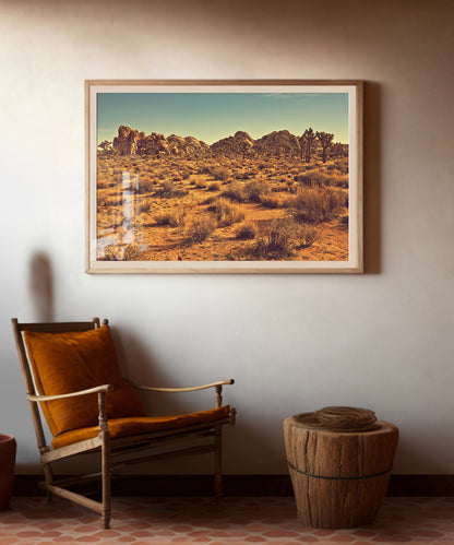 Joshua Tree Landscape #3 by Zachary C. Bako